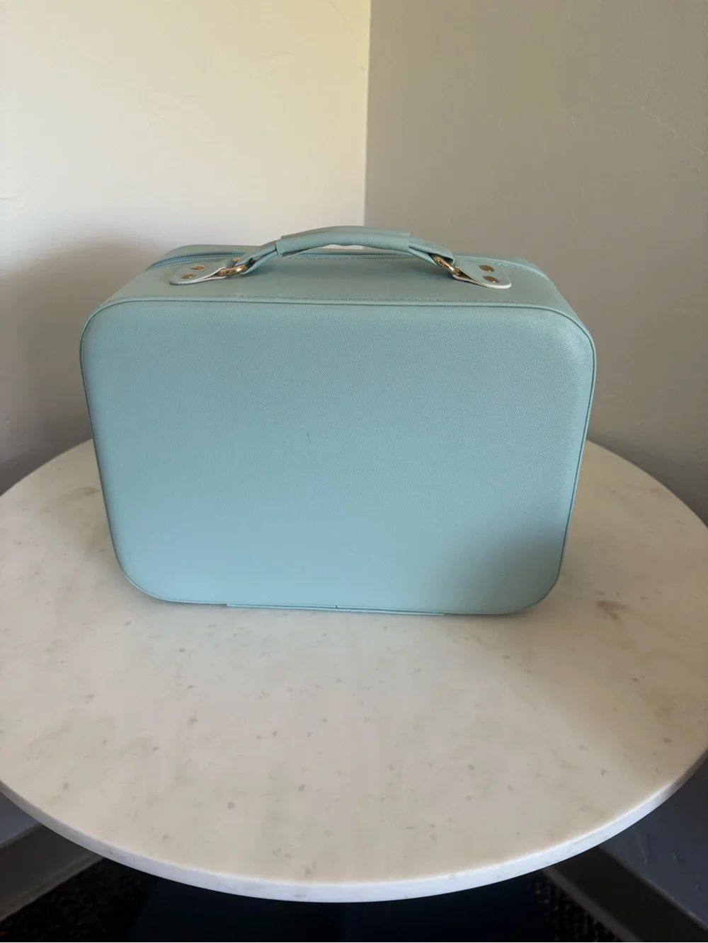 Sanrio Cinnamoroll case